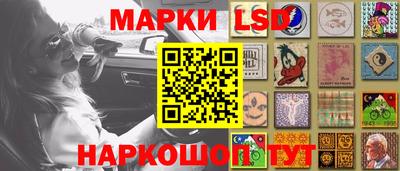 a pvp Новозыбков