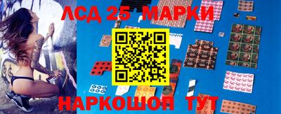 a pvp Новозыбков
