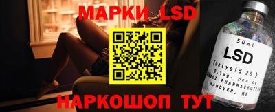 a pvp Новозыбков