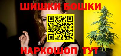 a pvp Новозыбков