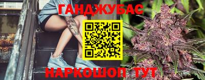 a pvp Новозыбков