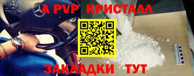 a pvp Новозыбков